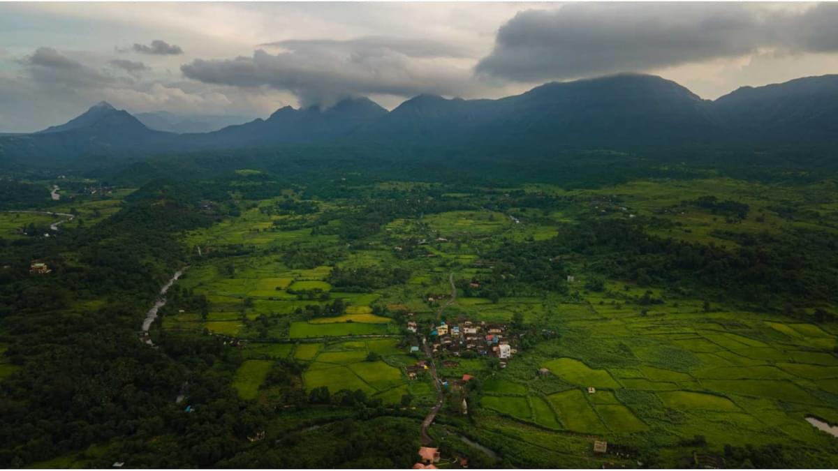 Kerala in Winter