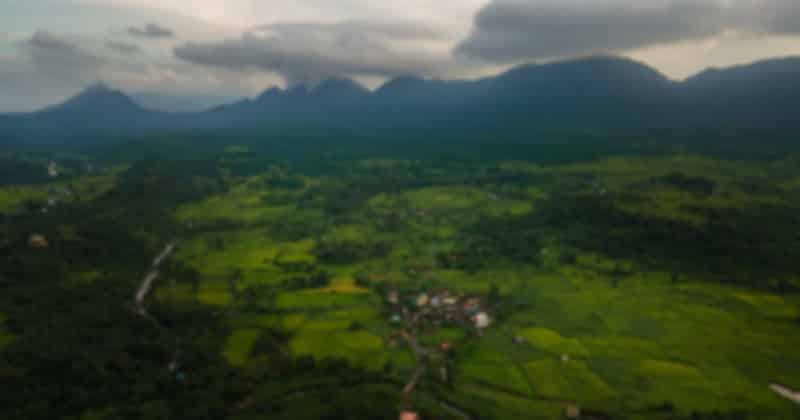 Kerala_in_Winter_b23df2361e.jpg