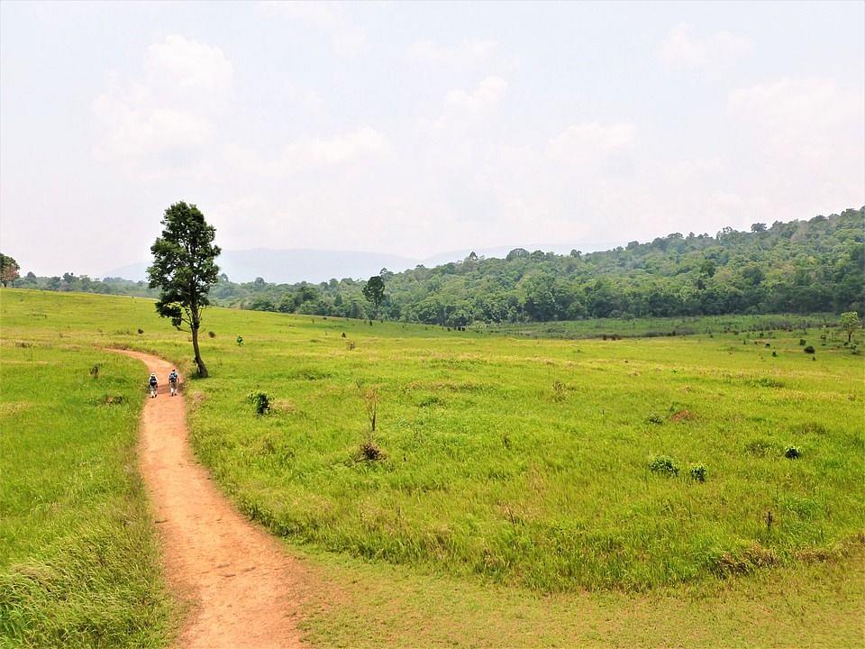 Khao Yai National Park .jpeg