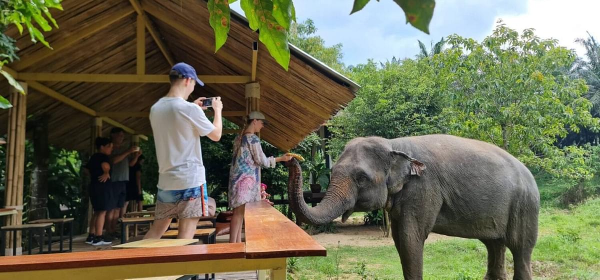 Krabi-elephant