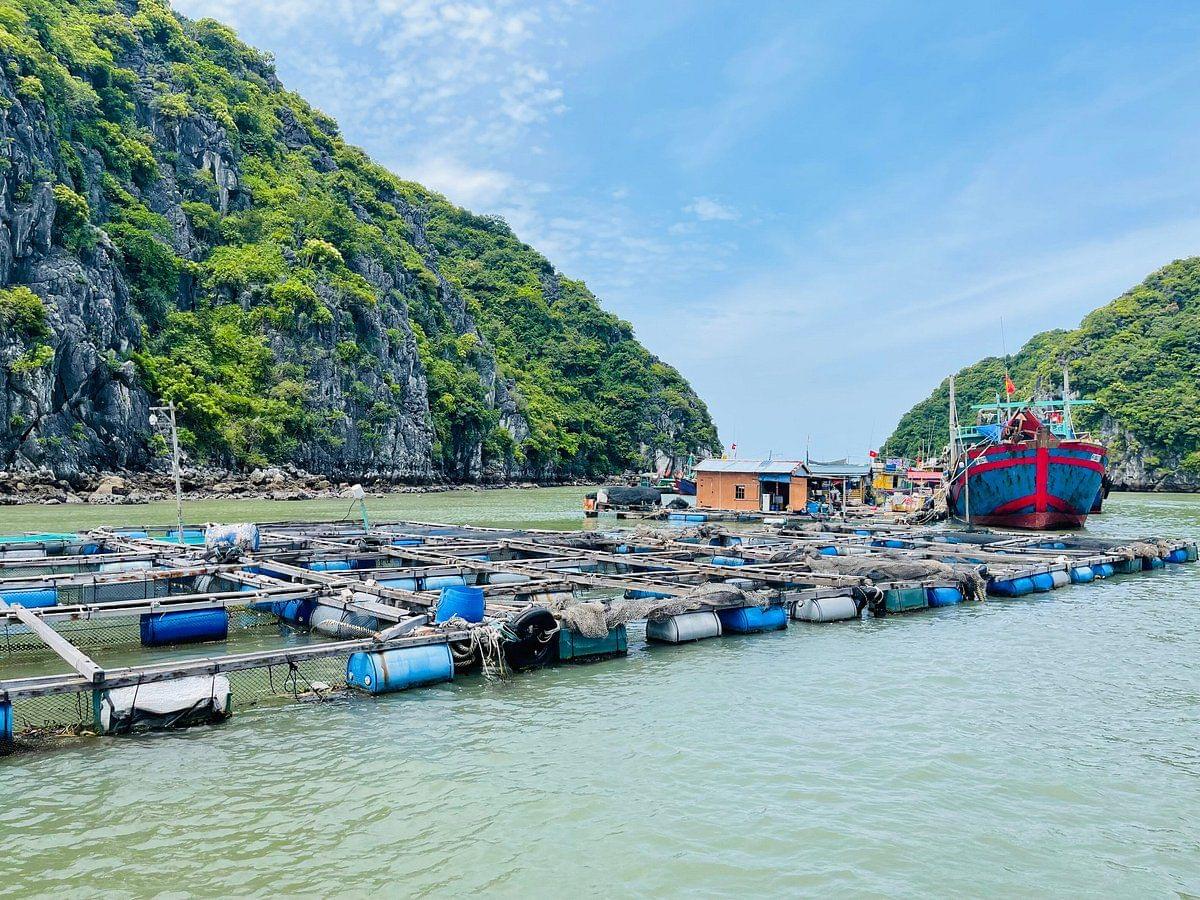 Lan Ha Bay