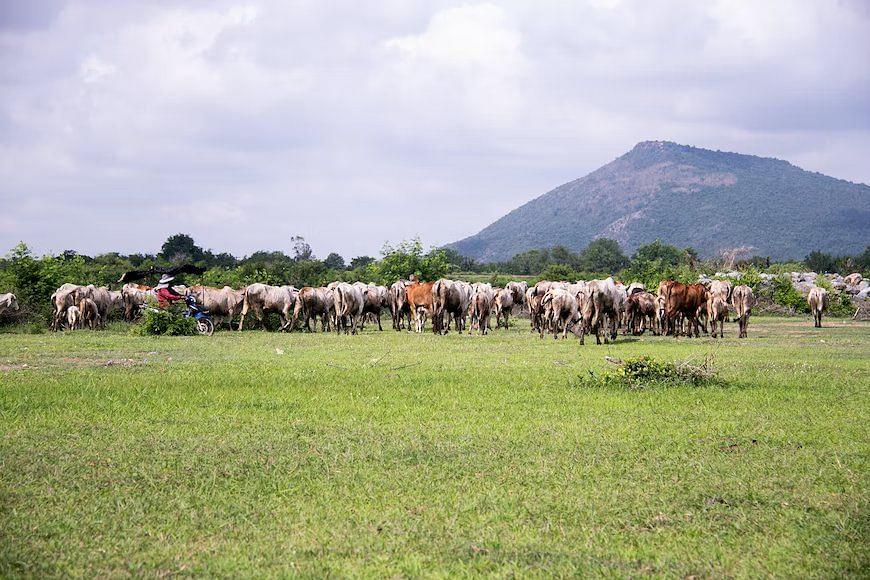 Lopburi.jpg