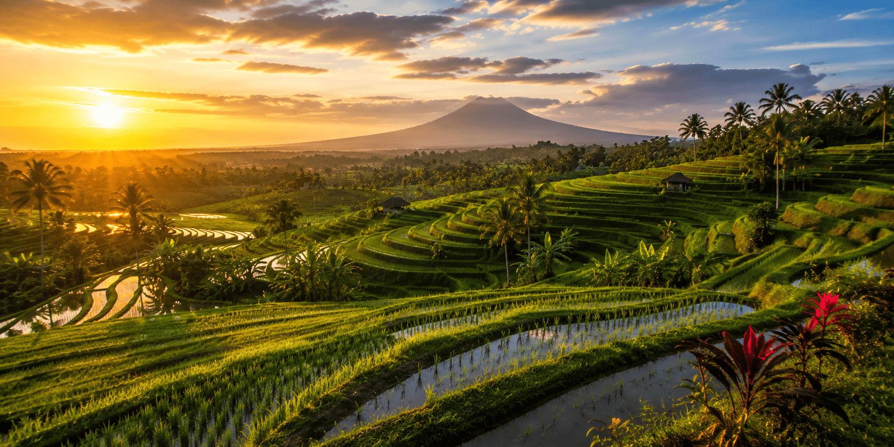 Lush Jatiluwih Rice Terraces