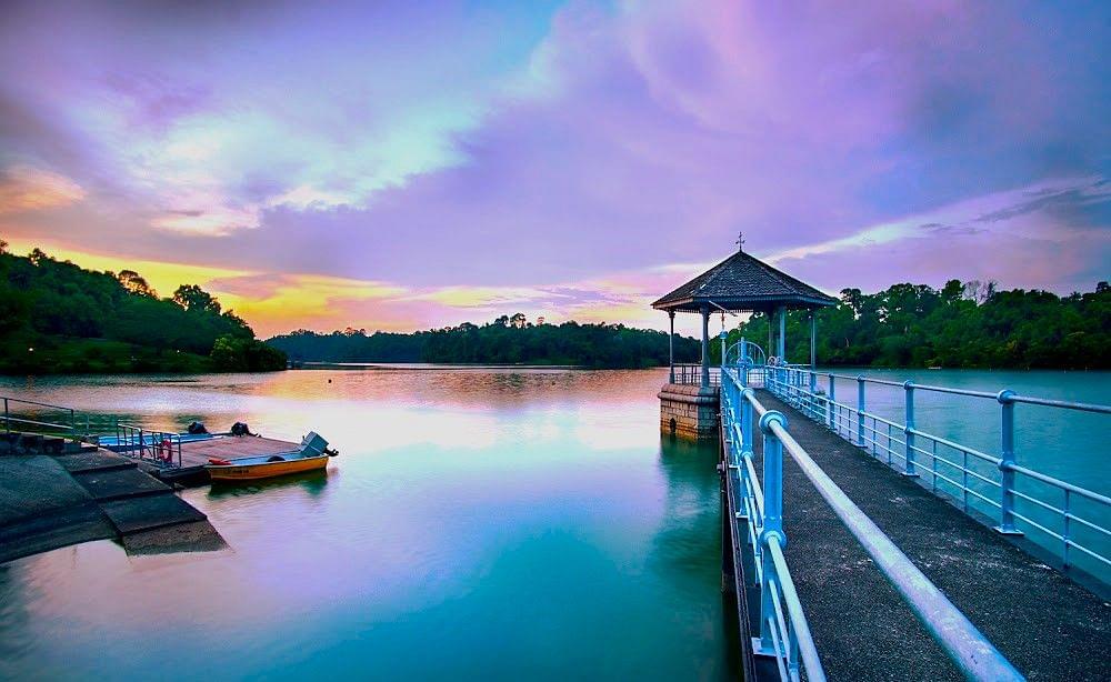 Hike Trail Macritchie reservoir