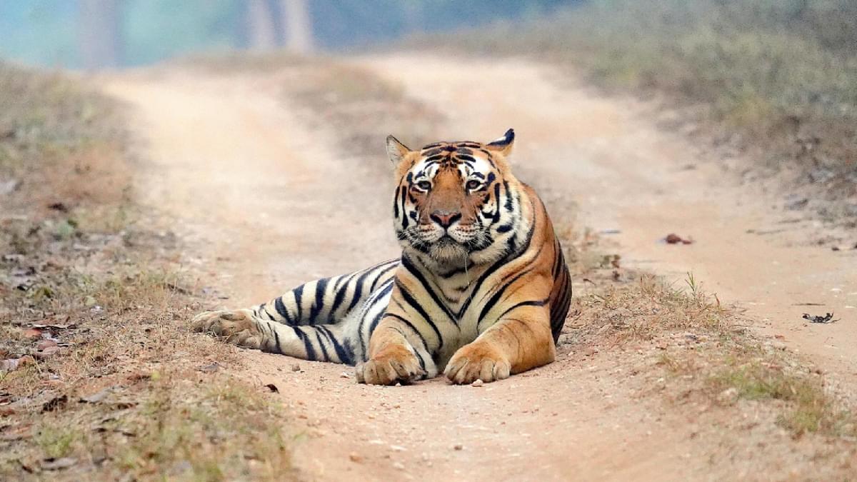 Adventure Tourism in Madhya Pradesh