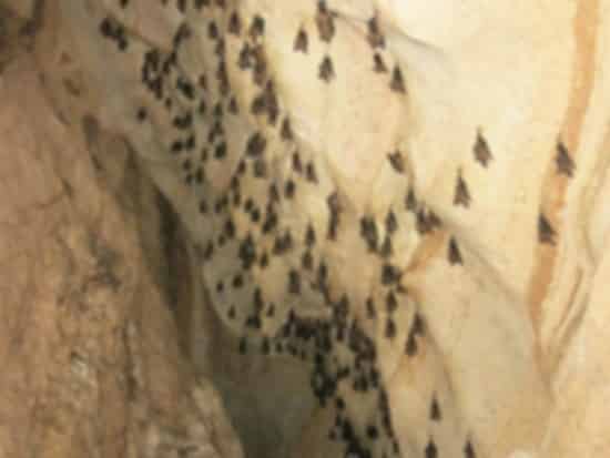 Mai Kaew Cave, Krabi: Complete Travel Guide to Phi Phi’s Hidden Cave Adventure