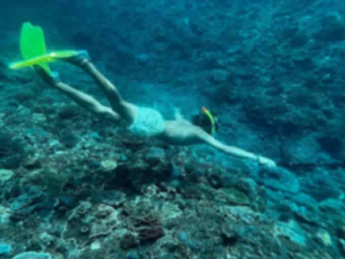 Manta Ray, Nusa Penida: Dive into Underwater Marine Life