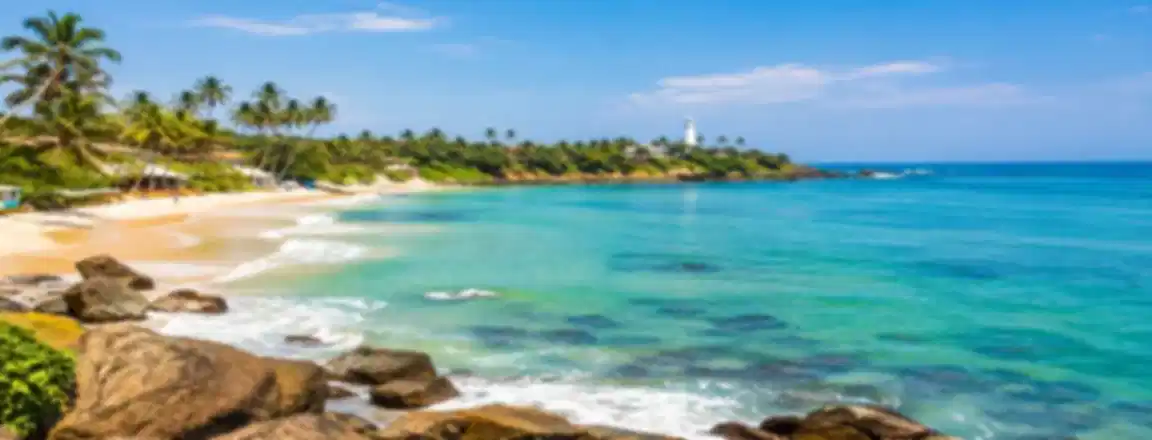 Mirissa, Sri Lanka Travel Guide: Things to Do, Beaches & Places to Visit