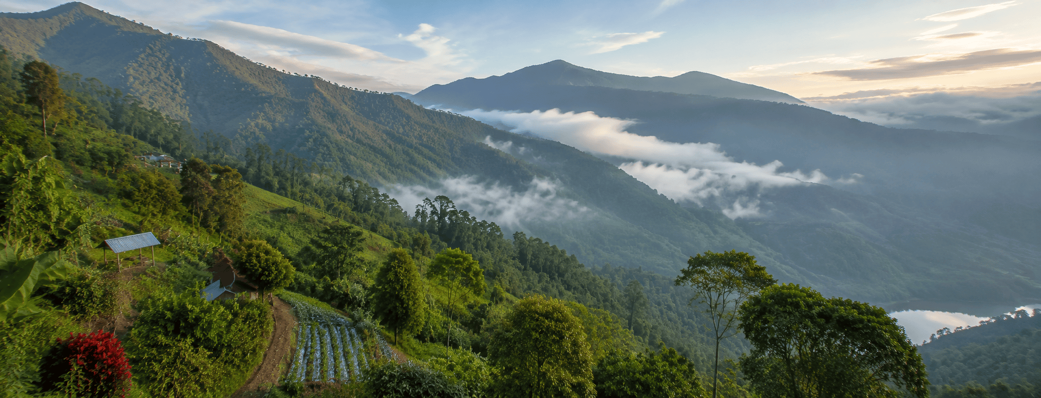 Munduk Highlands