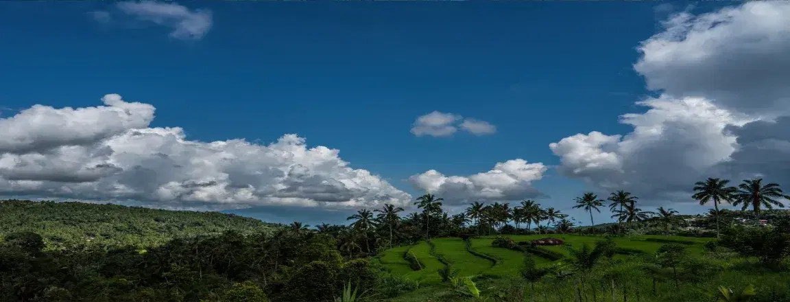 Munduk Tropical Forest Tour