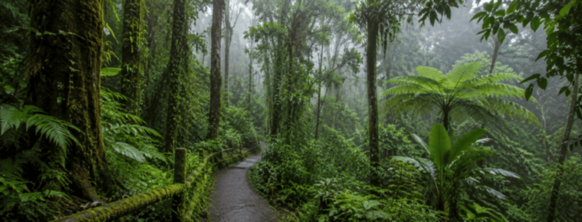 Munduk Tropical Forest Tour – Complete 2026 Guide