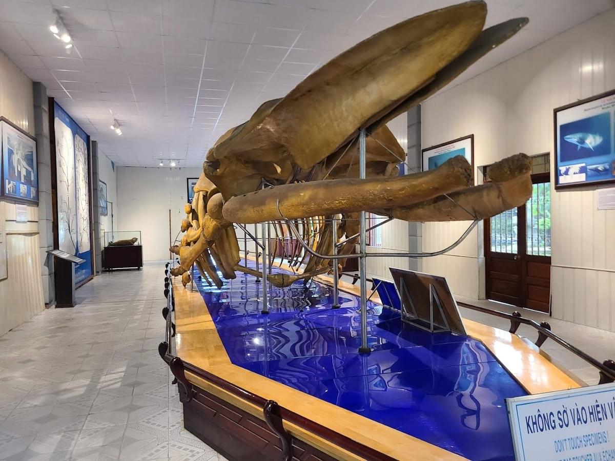 National Oceanographic Museum of Vietnam