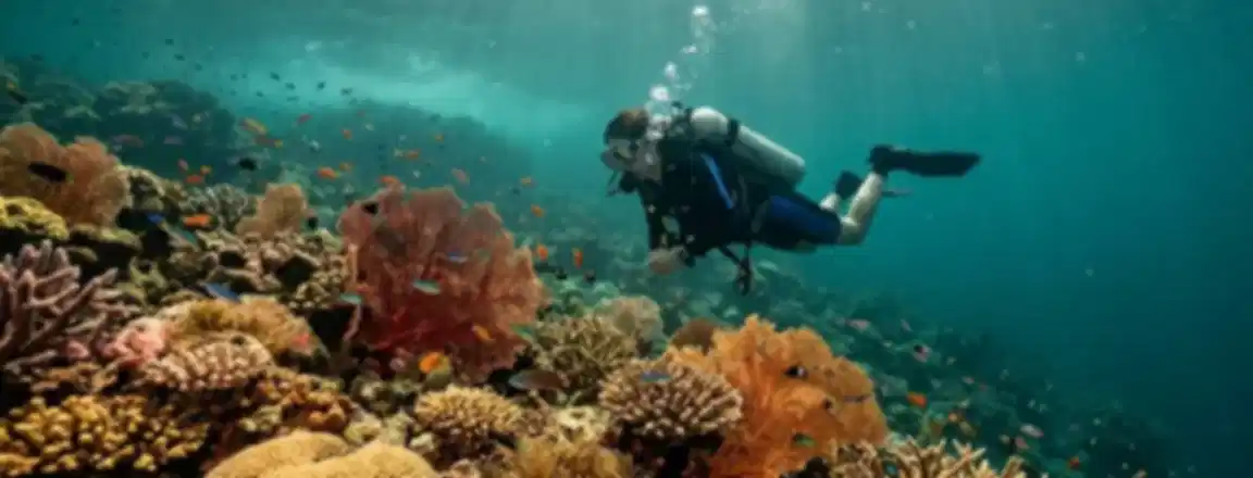 Scuba Diving in Singapore: Best Sites, Conditions & Tips
