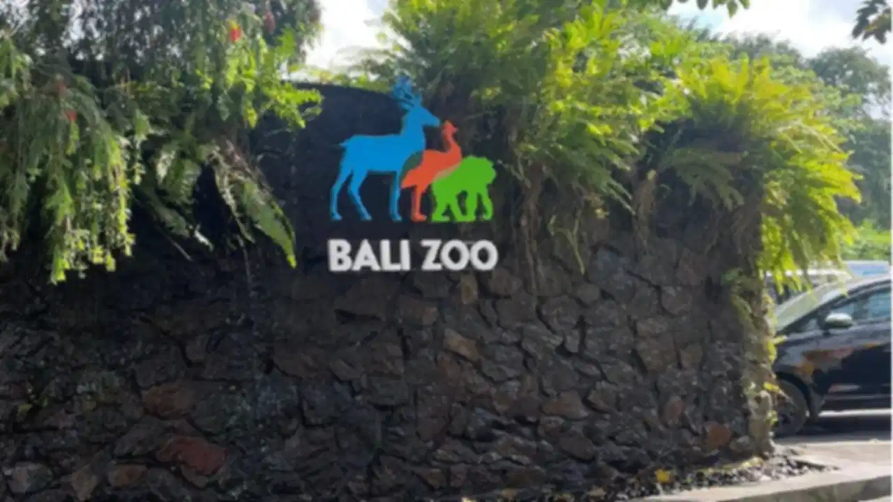 Bali Zoo 2026: The Ultimate Wildlife Guide