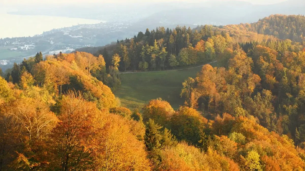 View of Uetliberg in autumn