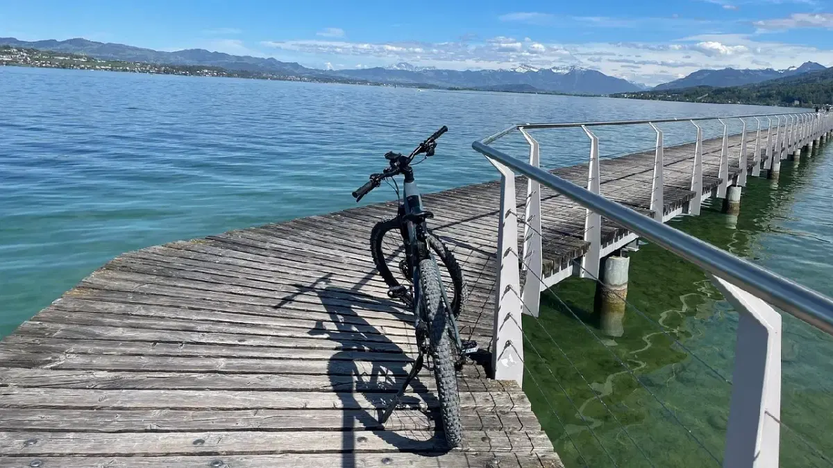 View of Cycle in Lake Zurich