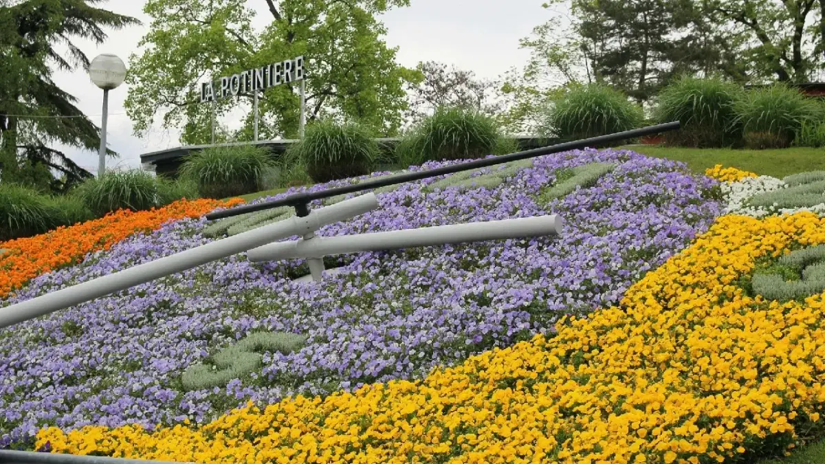 View of Flower Clock in Jardin Anglais, Geneva