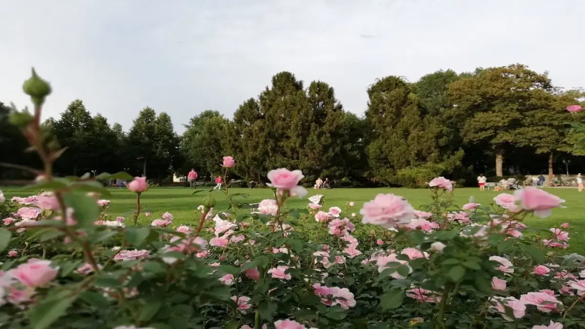 View of Rosengarten in Bern