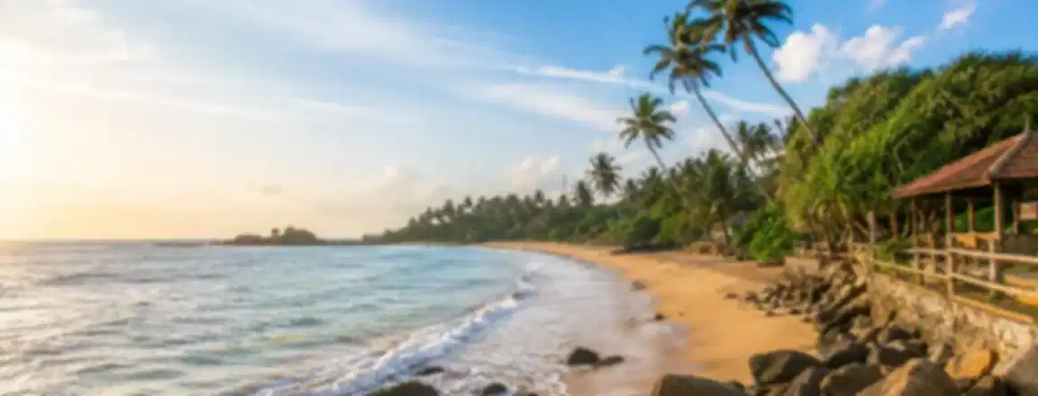 Tangalle Beach, Sri Lanka: Beaches, Things to Do & Travel Guide 