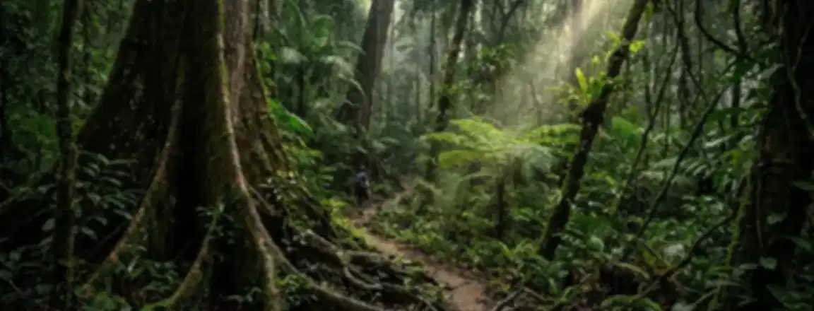 Taman Negara National Park: A Guide to Malaysia's Oldest Rainforest (2026)