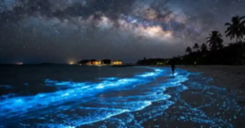New_Project_2026_09_17_T175541_184_aaa5cc7345.webp