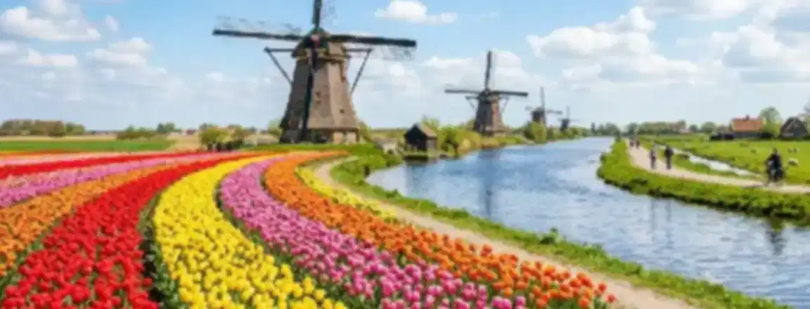 Best Time to Visit the Netherlands: Weather, Seasons and Travel Tips
