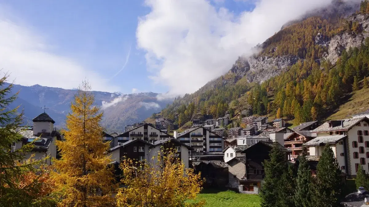 view of trees in the lower elevation of Zermatt during autumn season 