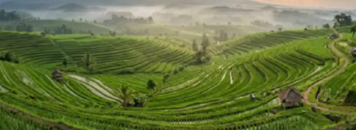 15 Best Places to Visit in Bali in 2026: Attractions, Costs & Travel Tips