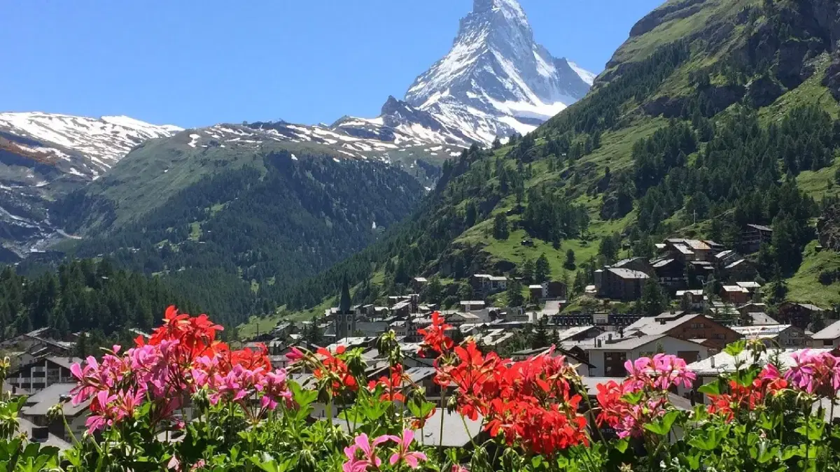 View of Valleys with wild flowers in Zermatt with the ranges at the background