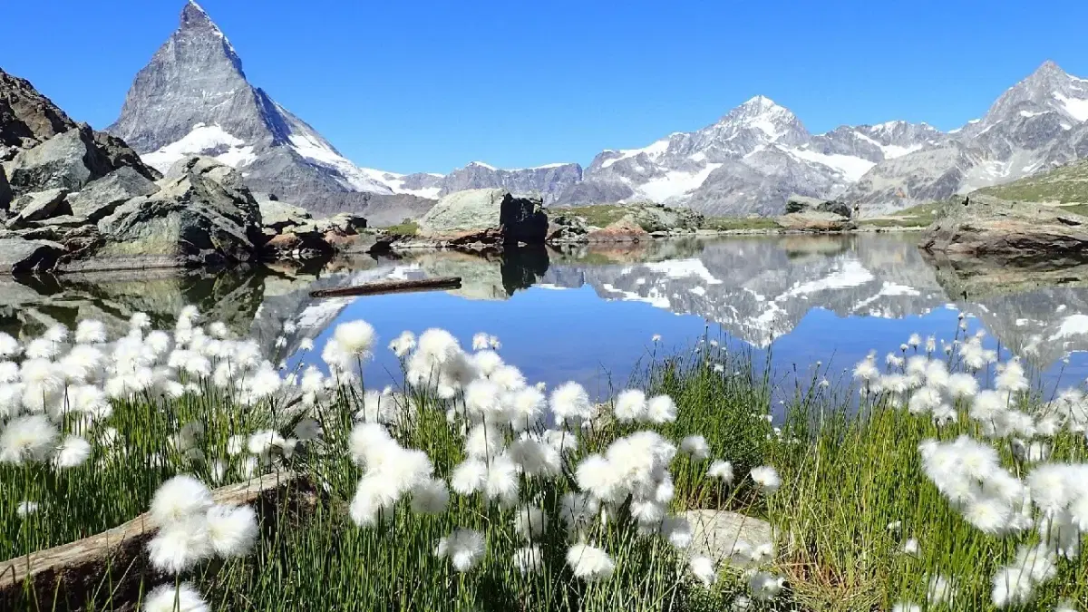 View of beautiful summer day in Zermatt with matterhorn at the background