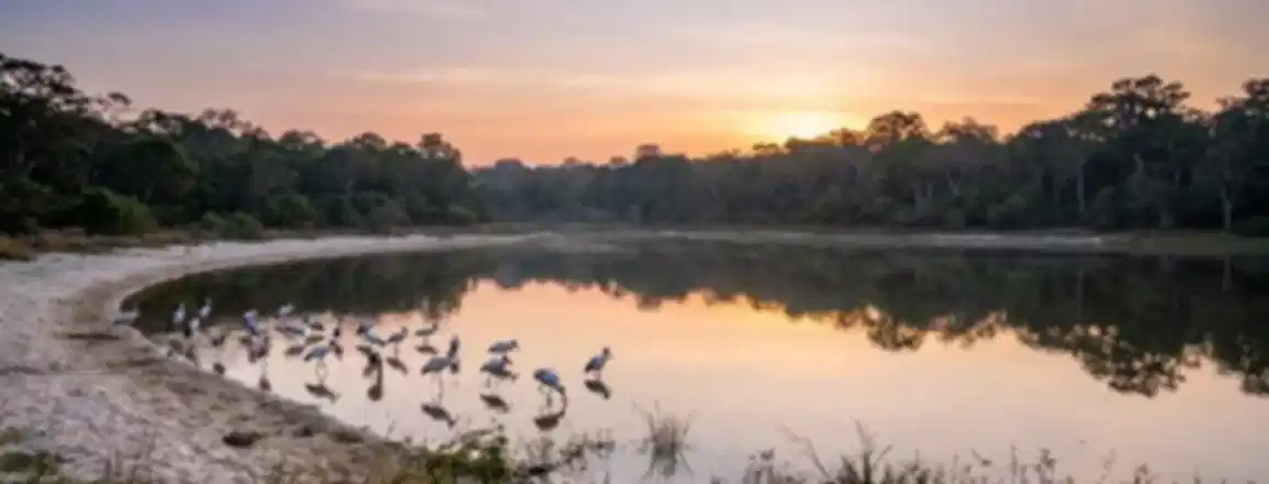 Wilpattu National Park Guide 2026: Safari, Cost, Best Time & Travel Tips