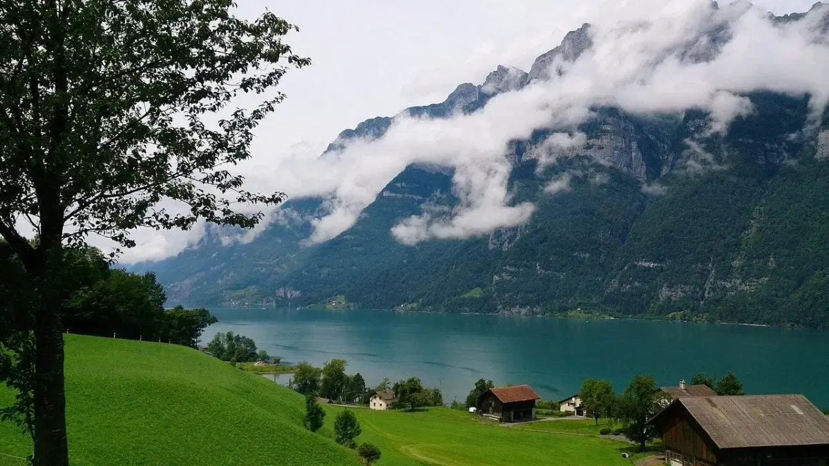 view of Switzerland valley in summer