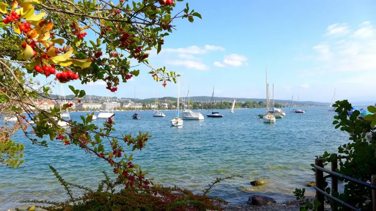 View of Lake Zurich with boats in it