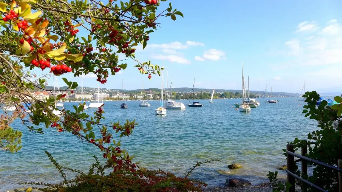 View of Lake Zurich with boats in it