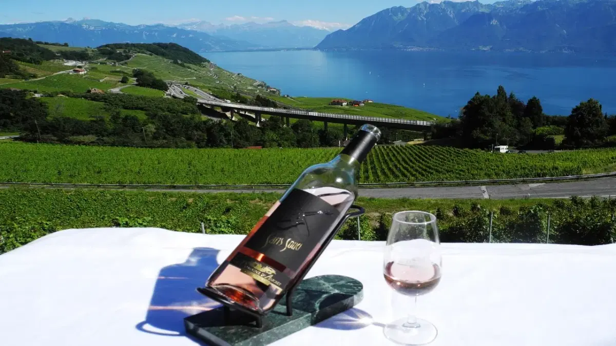 View of wine in Vineyards of Lavaux