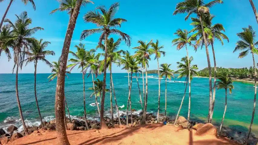 Sri Lanka in March: Weather, What to See & Things to Do