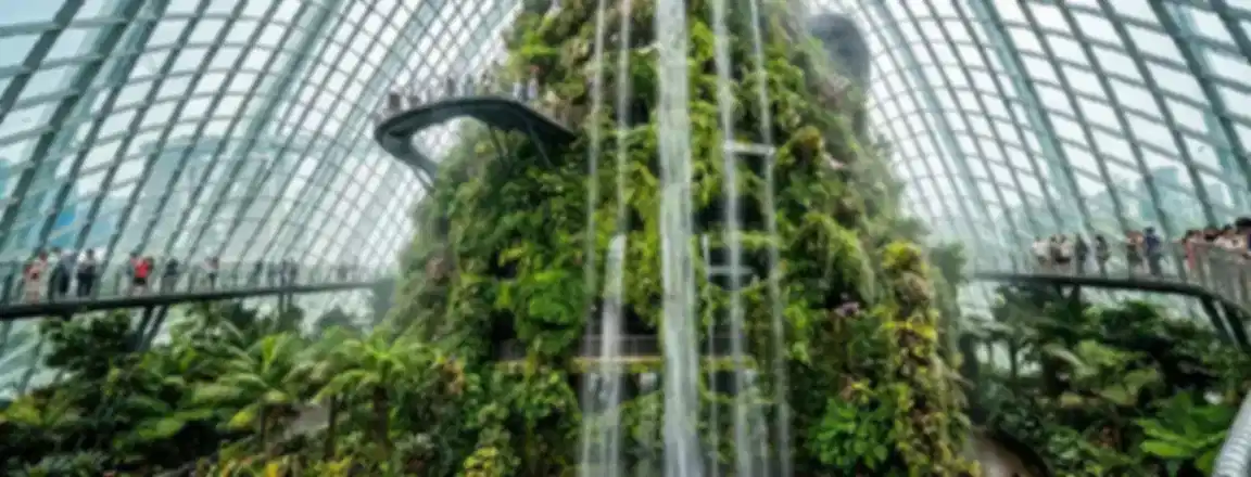Cloud Forest Singapore 2026: Tickets, Timings, Things to See & Tips