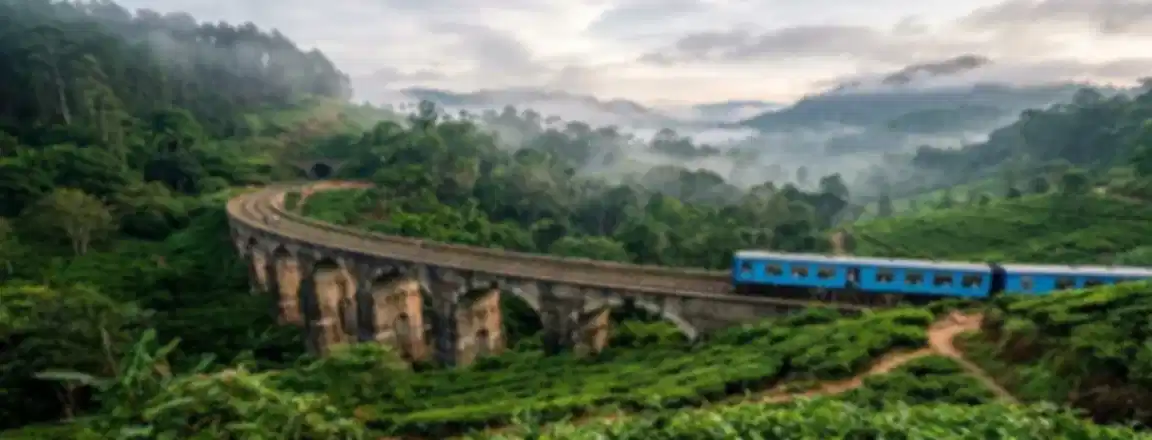 Nine Arches Bridge, Ella: Best Time to Visit, How to Reach & Train Tips