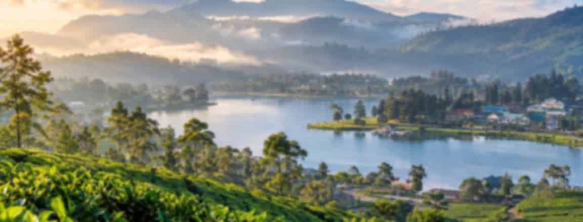 13 Best Things to Do in Nuwara Eliya, Sri Lanka