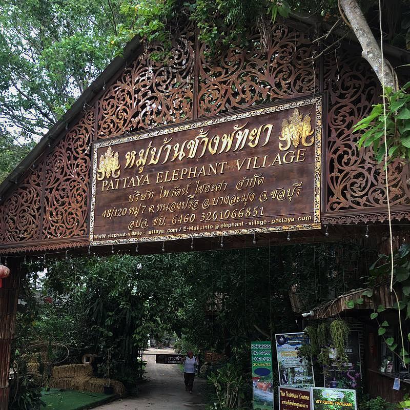 Pattaya Elephant Village.jpg