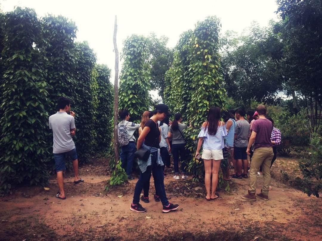 Pepper Farms