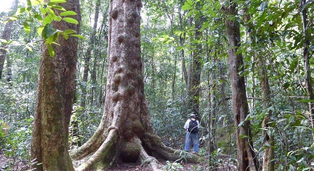 Phu Quoc National Park