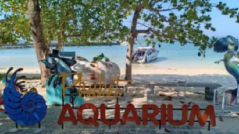 Phuket Aquarium Tickets, Timings & Complete Visitor Guide