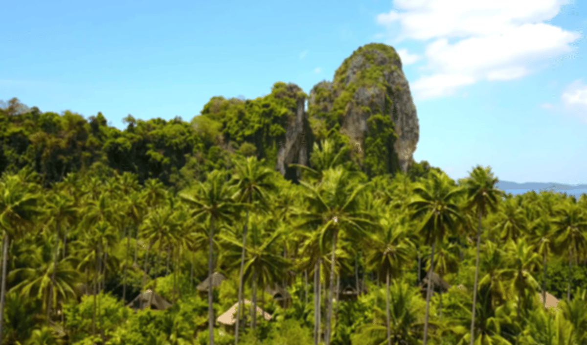 Phuket in February: What to Know Before You Go