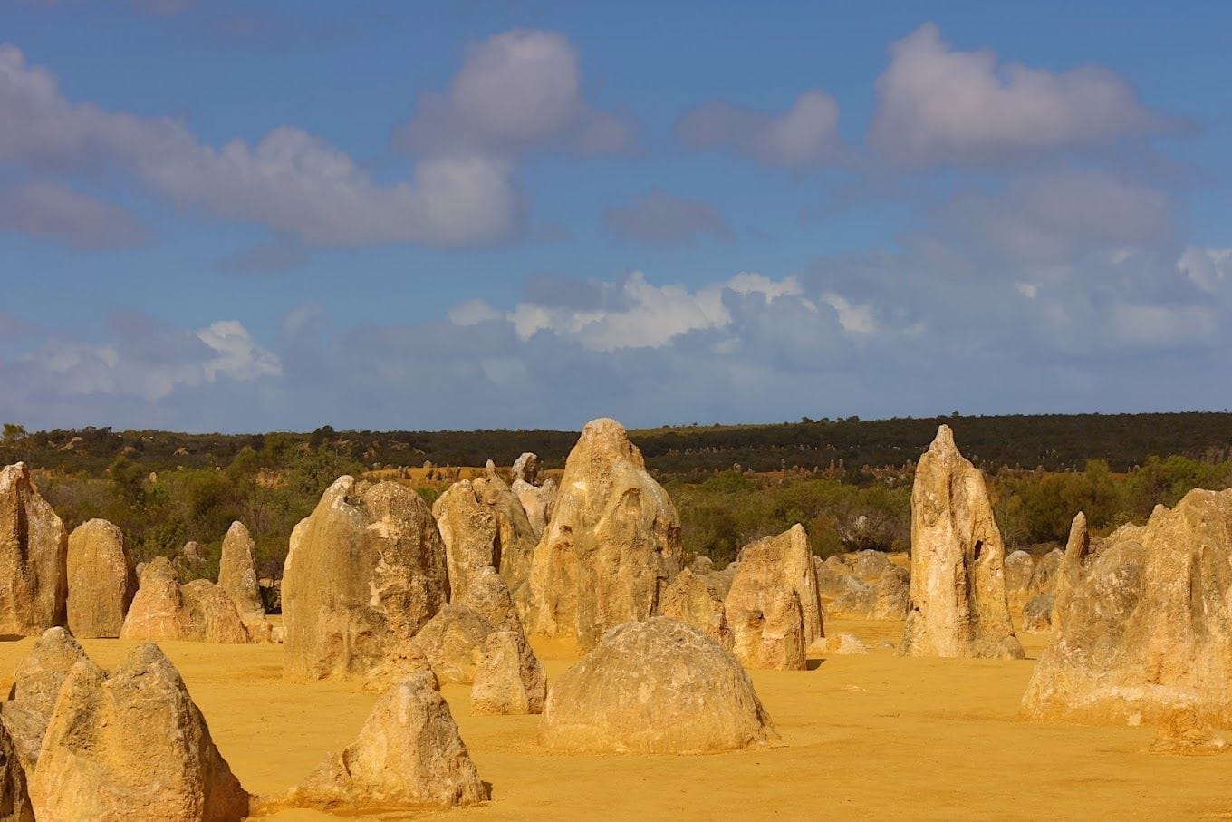 Pinnacles desert