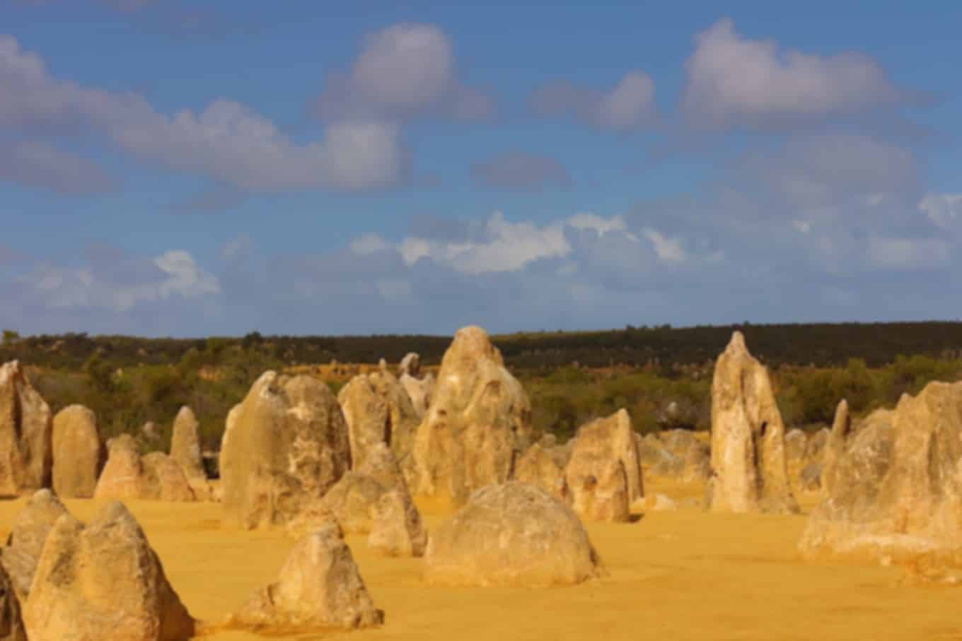 The Pinnacles Desert