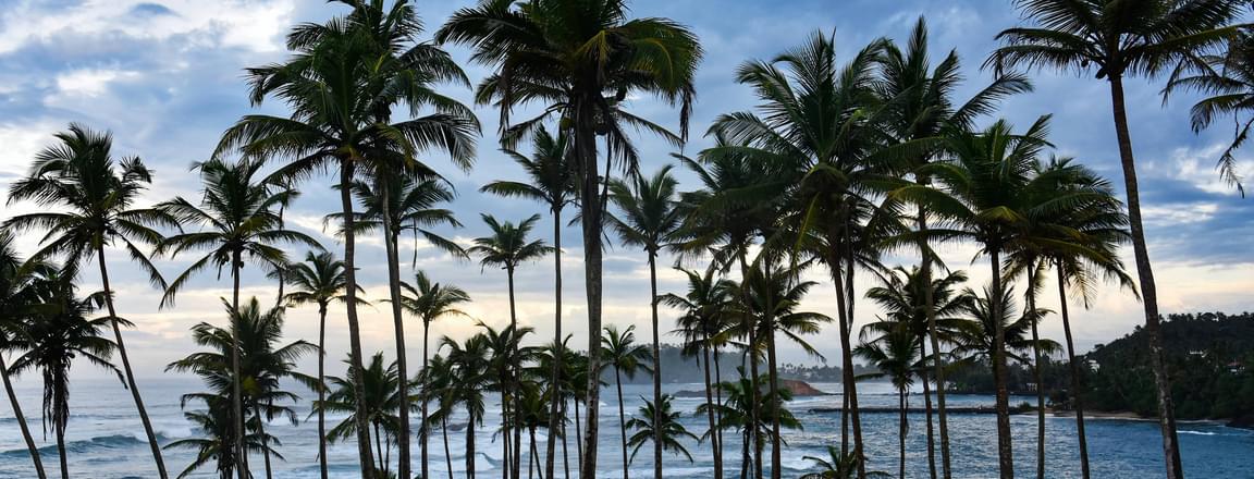 Places to visit in Sri Lanka