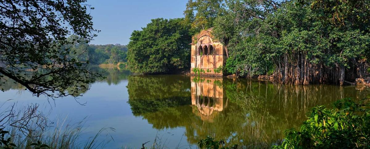 Ranthambore National Park in Rajasthan