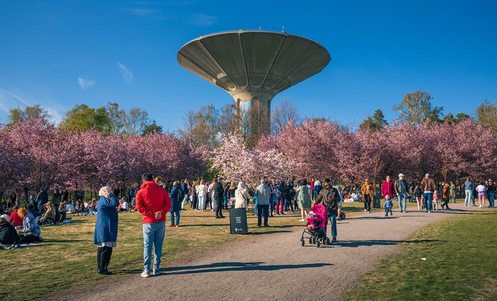Best Time to Visit Helsinki: Seasonal Guide | Pickyourtrail