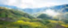 Things To Do In Sapa